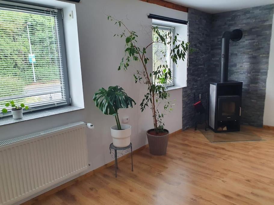 Kornhaus - Schoene Ferienwohnung Mit Pool, Kamin Und Terrasse Getynga Zewnętrze zdjęcie